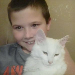 Meet your Posher, Bradley